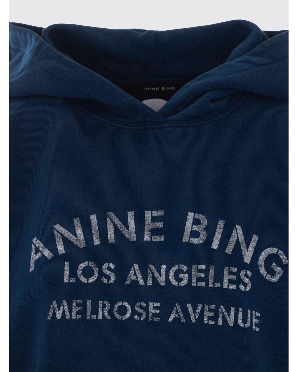 Anine Bing Blue Sweatshirt