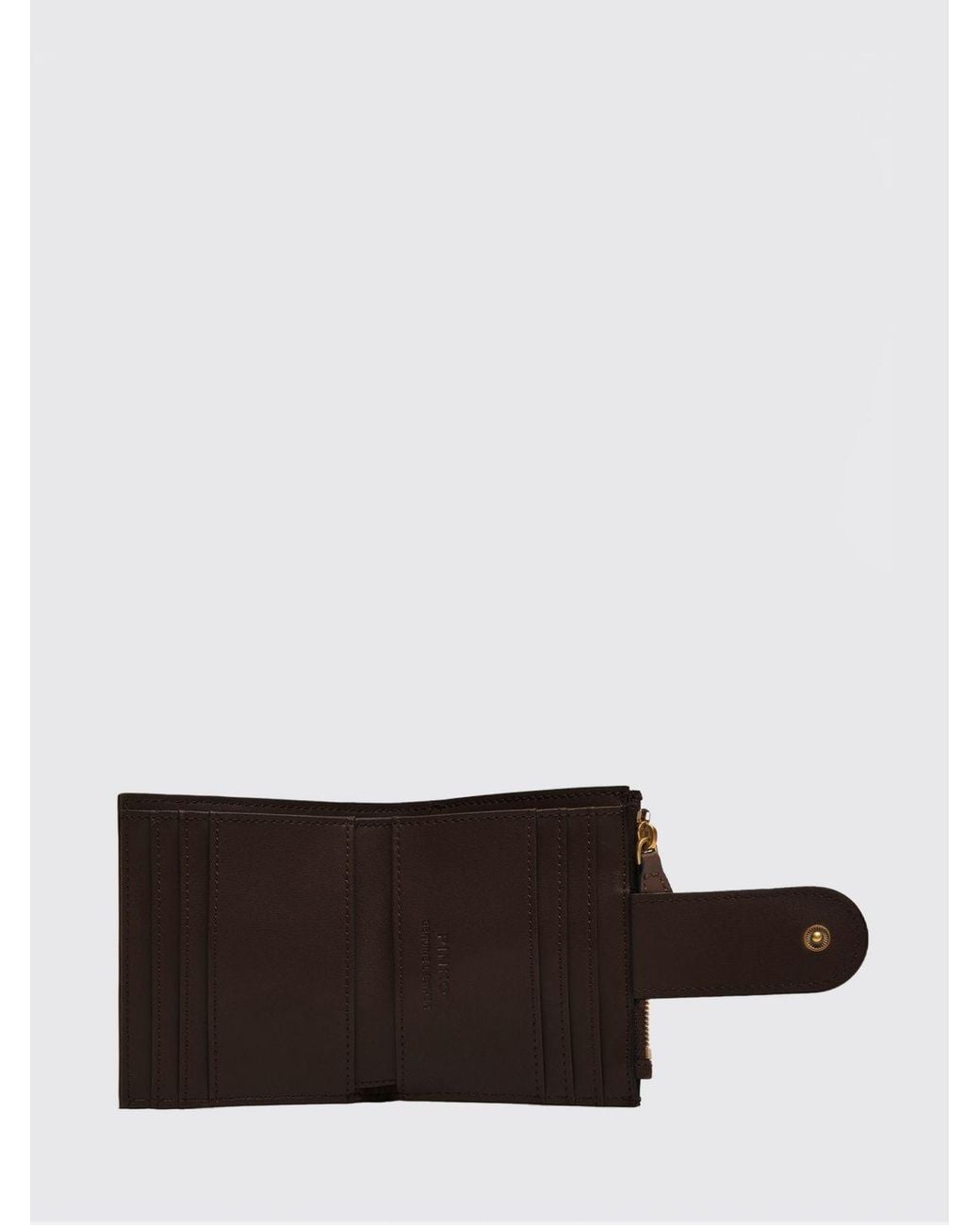 Pinko Brown Wallet