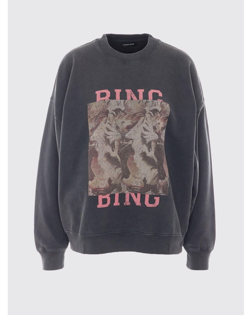 Anine Bing Blue Sweatshirt