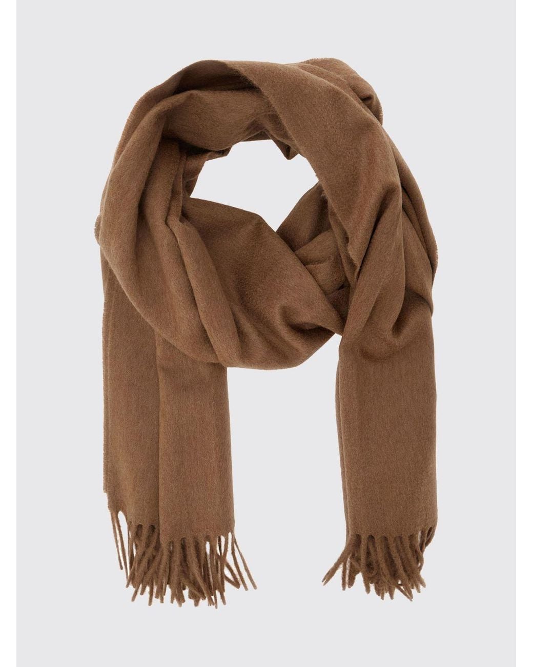 Sciarpa di Max Mara in Brown
