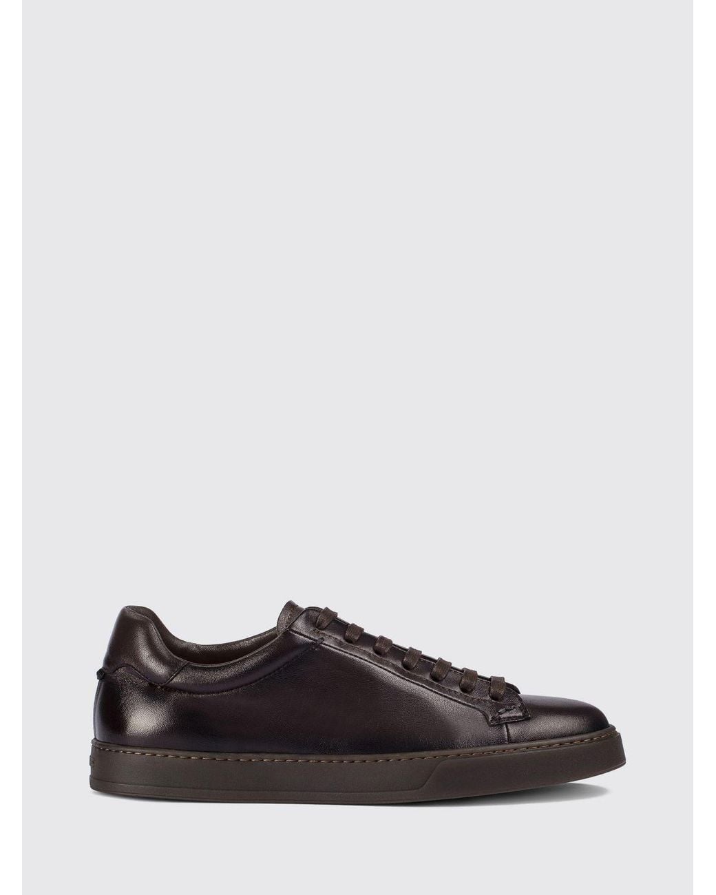 Doucal's Black Morgan Sneakers for men