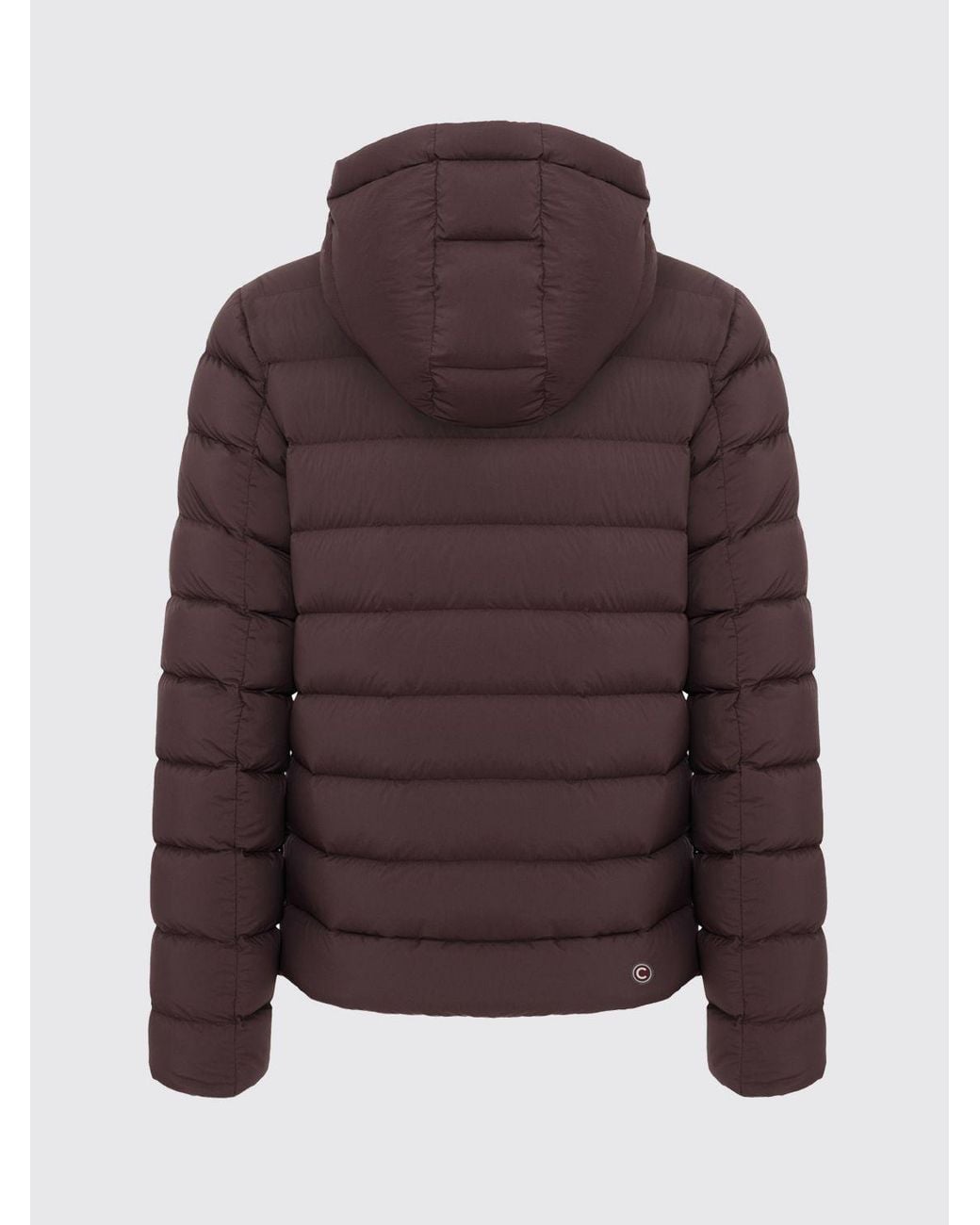 Colmar Brown Water-Repellent Technical Fabric Puffer Jacket With Hood And Logo for men