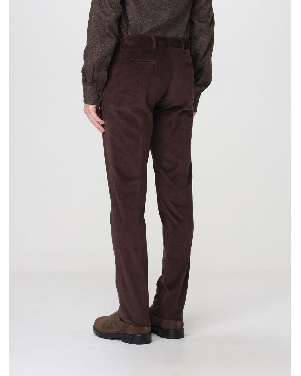 Brooksfield Brown Pants for men