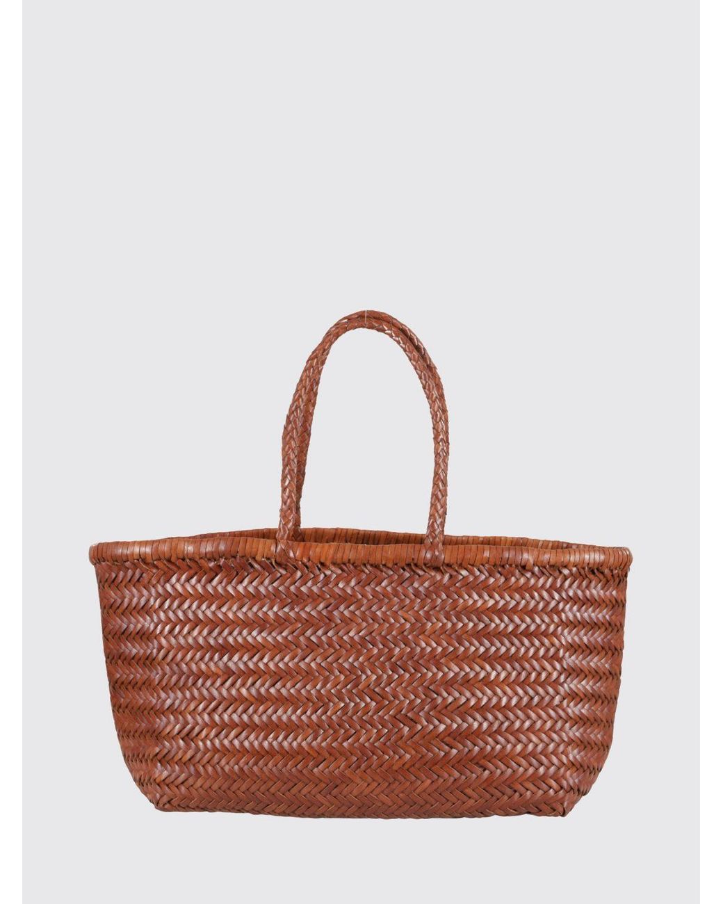 Dragon Diffusion Brown Mini Flat Gora Bag