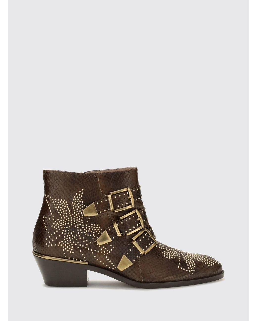 Chloé Brown ChloÉ Susanna Biker Ankle Boots