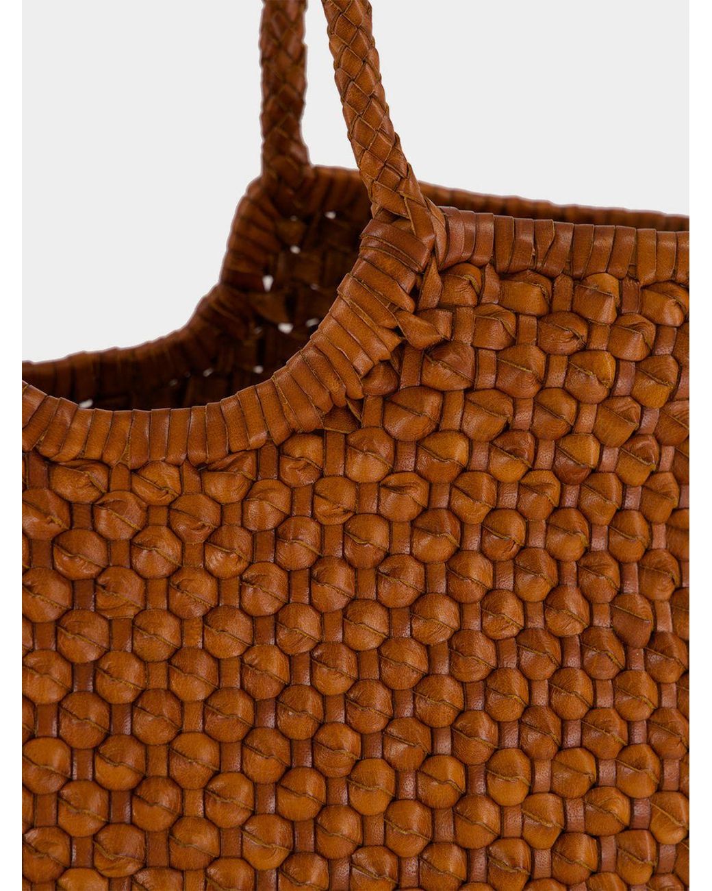 Dragon Diffusion Brown Large Nantucket Tote Bag