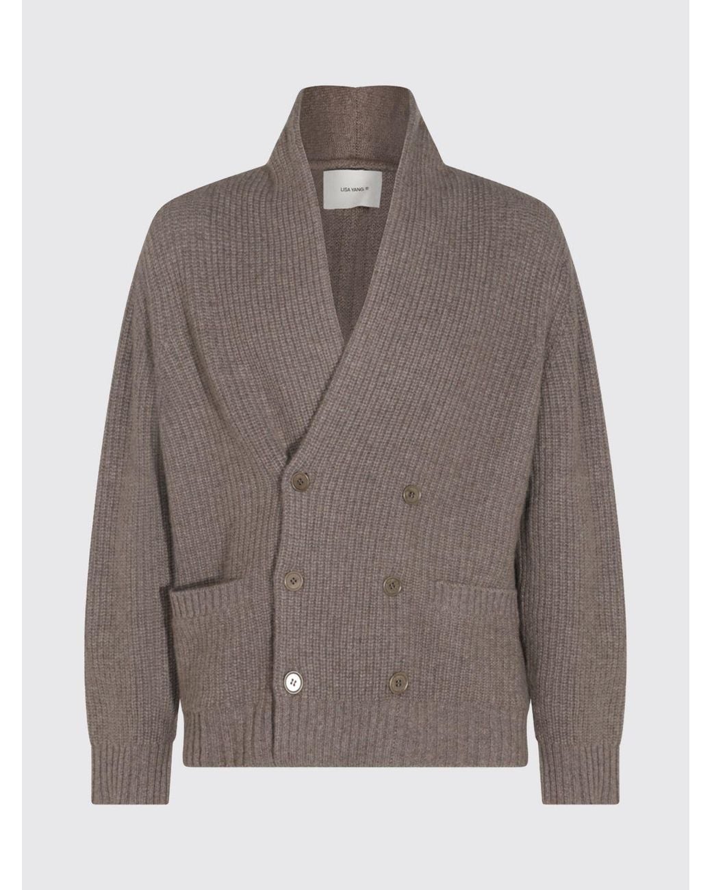 Lisa Yang Brown Double-Breasted V-Neck Cardigan for men