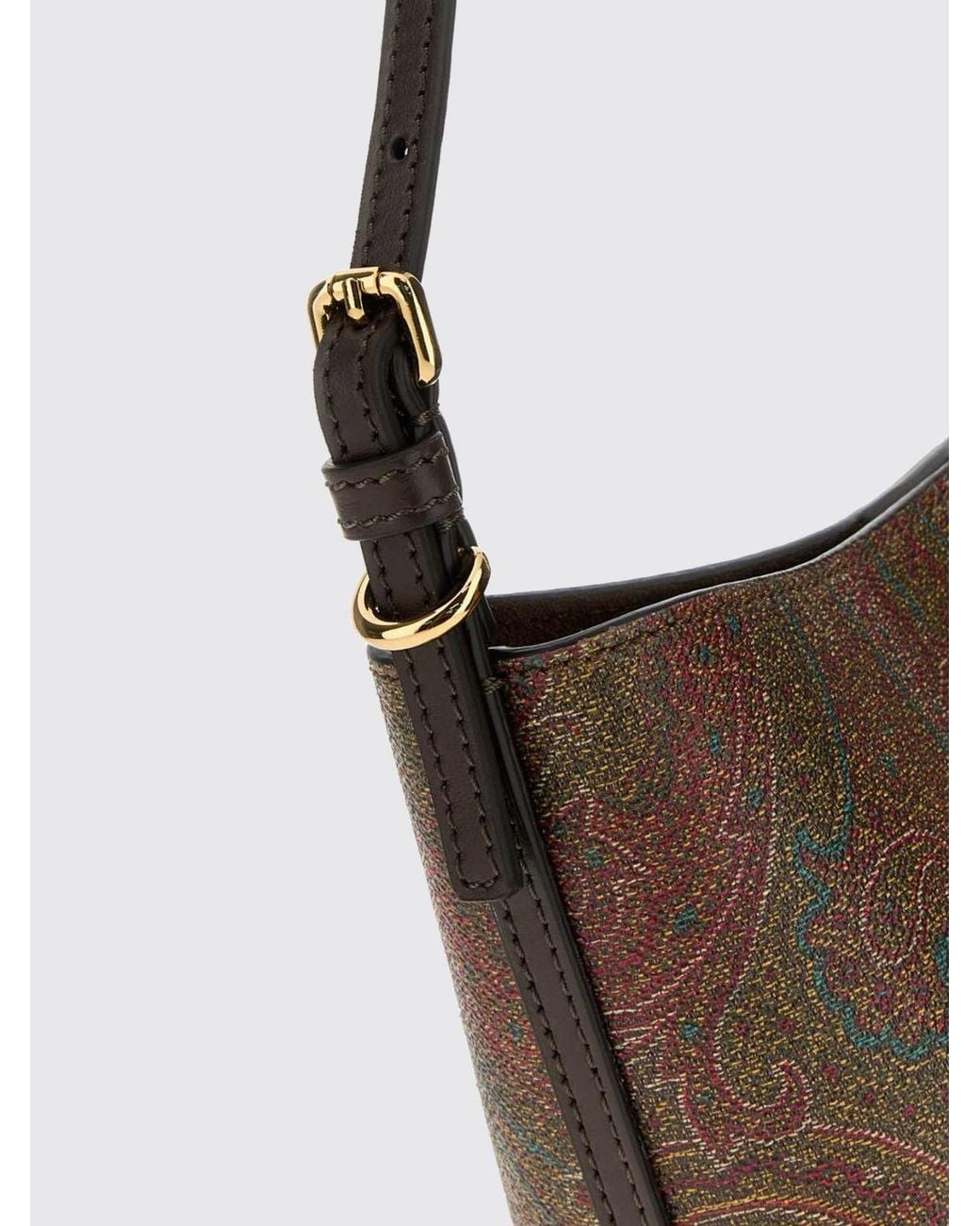 Etro Brown Handbag