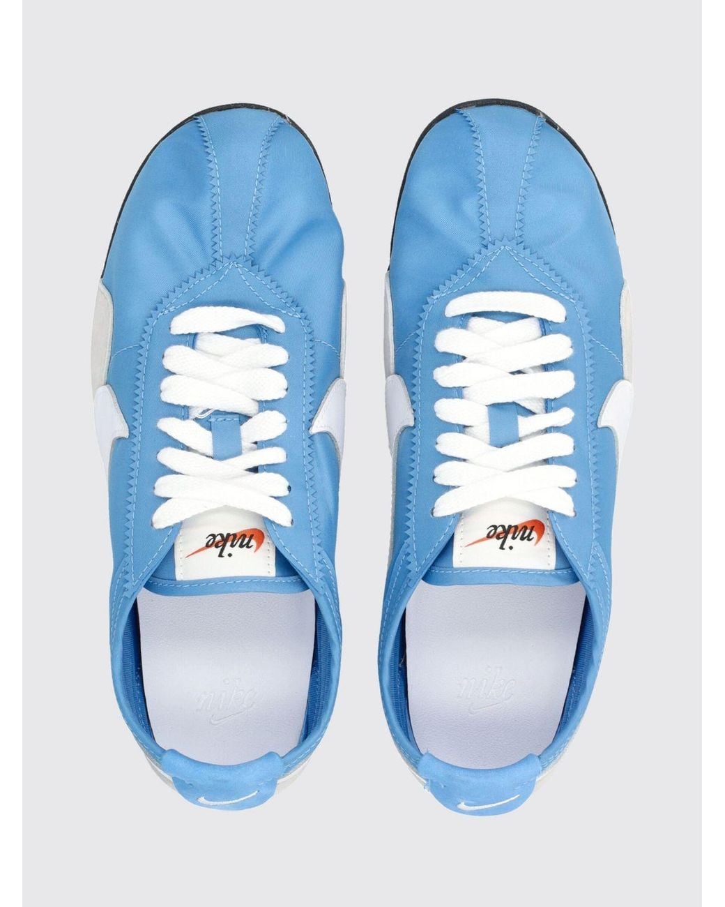 Nike Blue Moon Shoe
