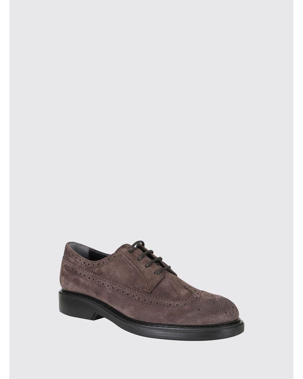 Hogan Brown H704 Suede Leather Derby Brogues With A Wingtip Motif for men