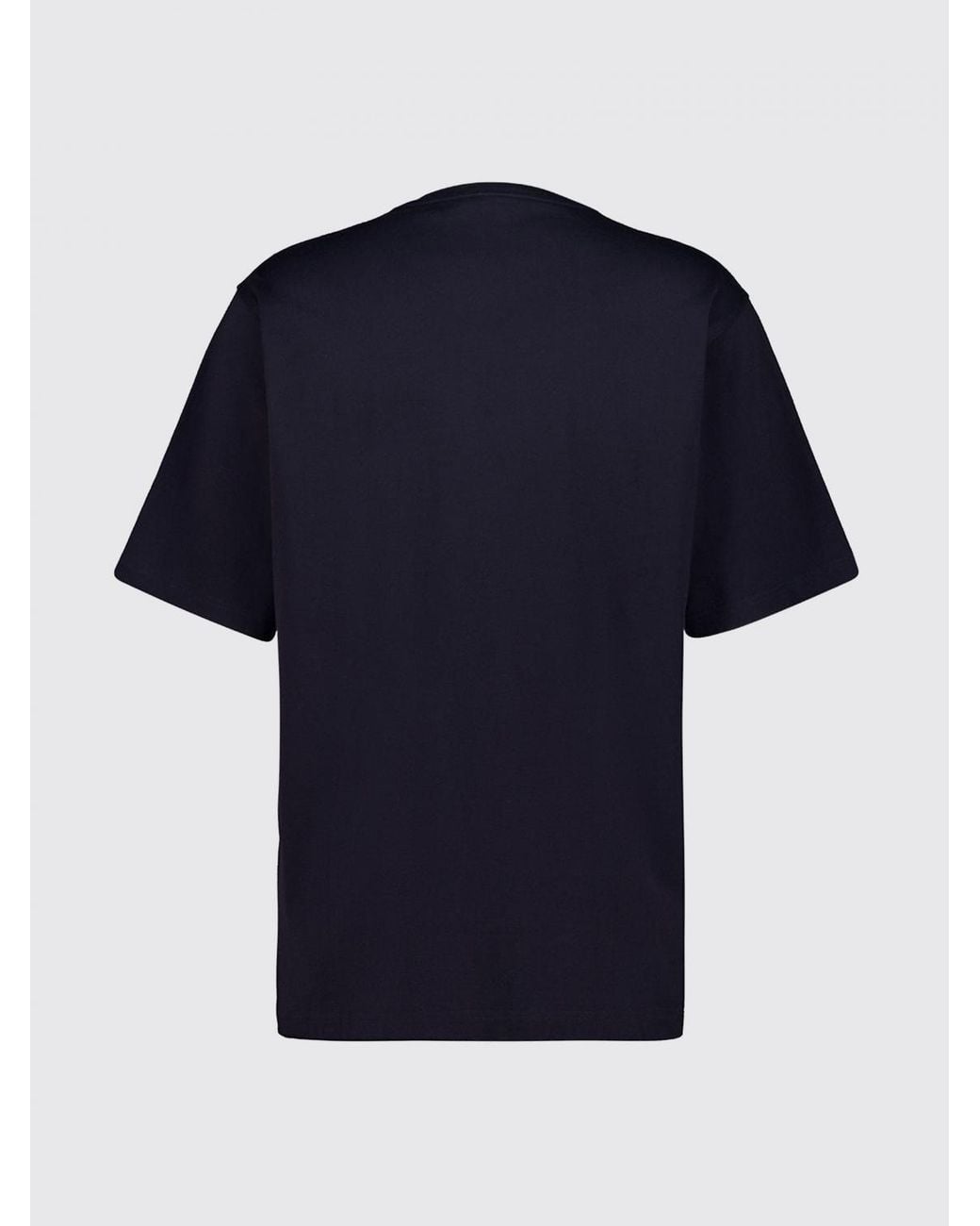 Dolce & Gabbana Blue Dolce &Amp Gabbana Crewneck Cotton T-Shirt With Contrasting Logo for men