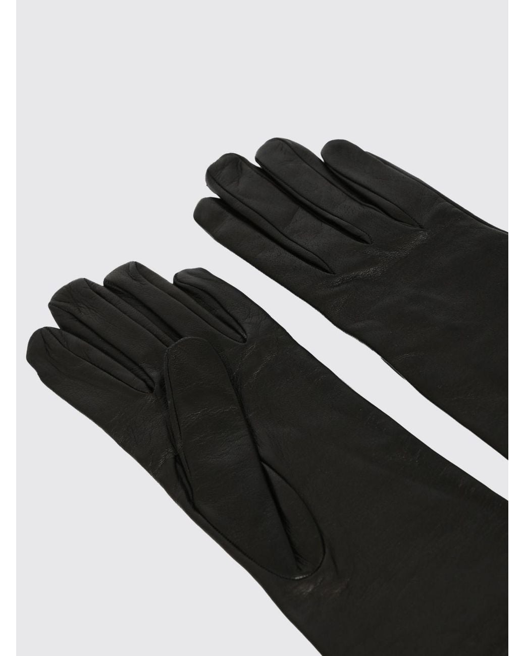 Liviana Conti Black Elegant Long Lined Gloves