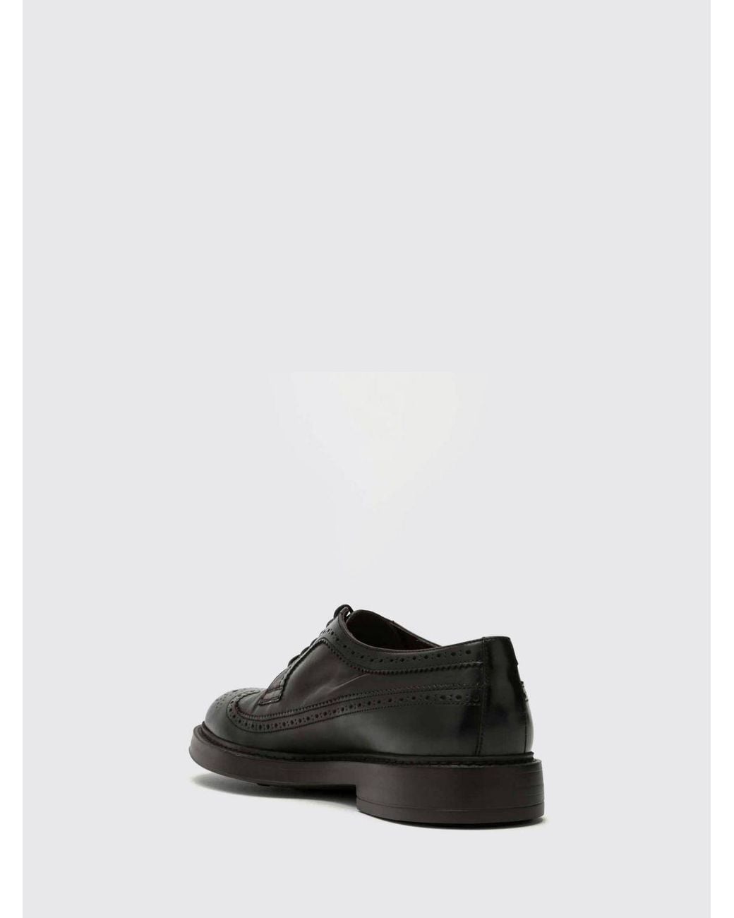 Doucal's Derby-Schuhe Aus Glattleder Mit Wingtip-Brogue-Muster in White für Herren