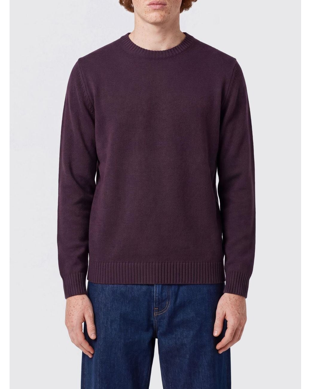 Drumohr Purple Pure Merino Wool Crewneck Jumper With Long Sleeves And Ribbed Trims for men