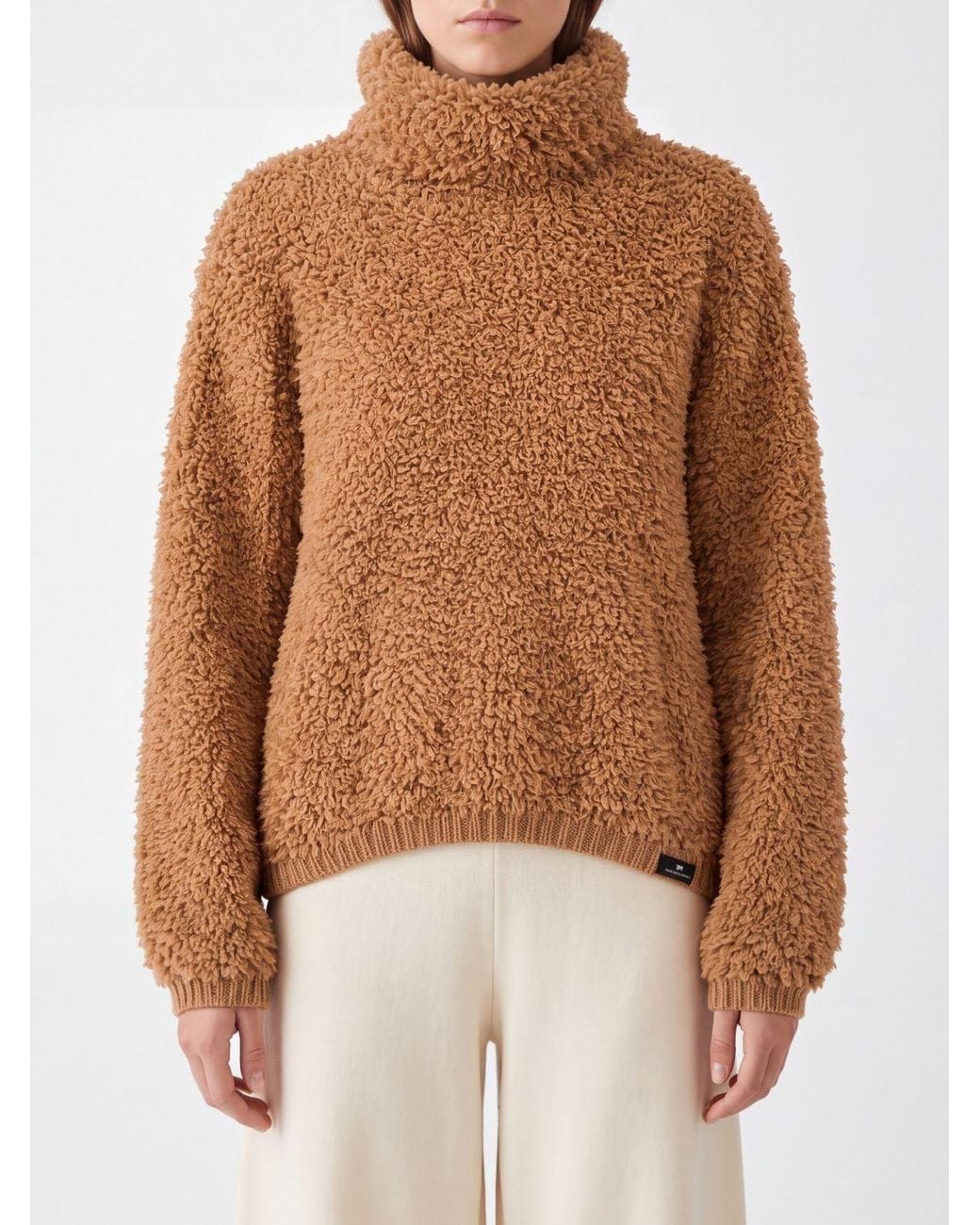 Elisabetta Franchi Brown Relaxed Fit Roll Neck Jumper