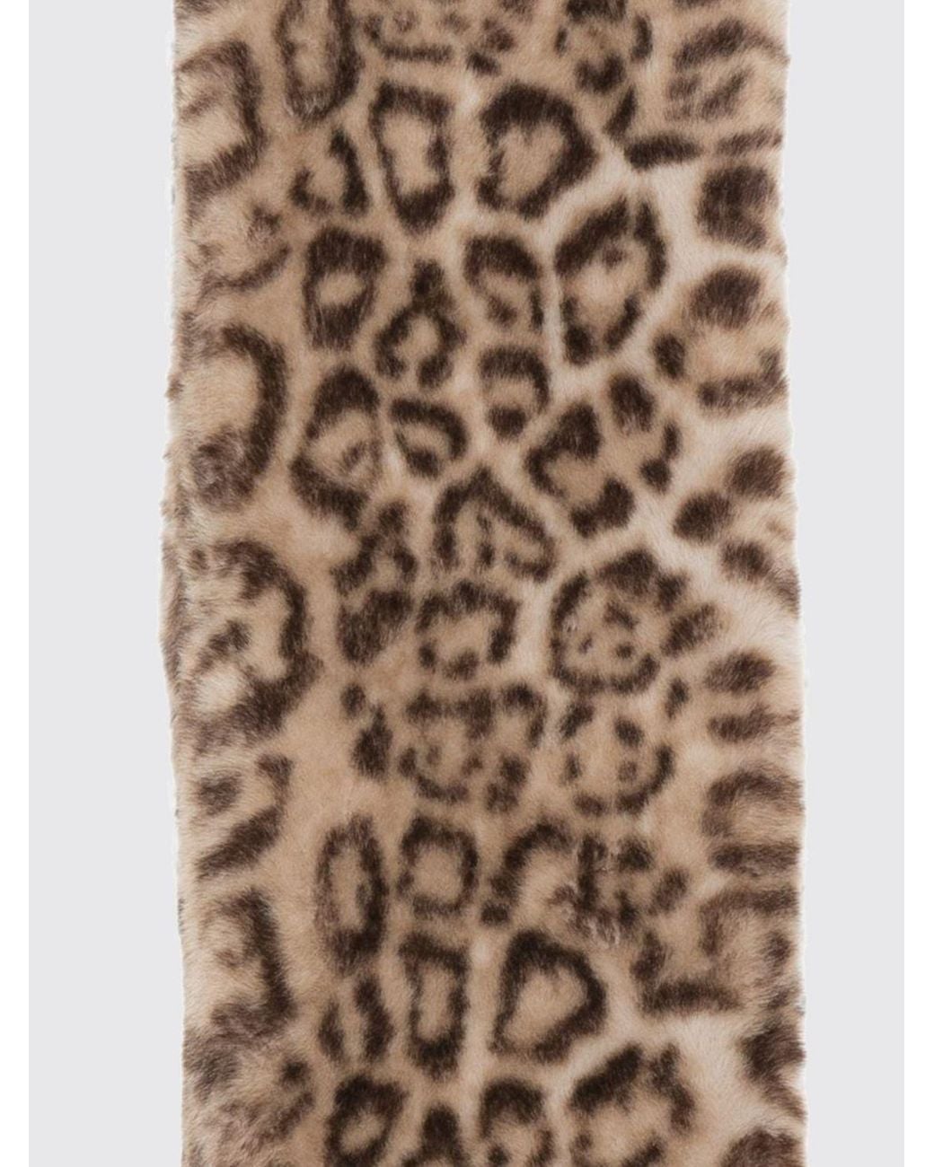 Apparis White Scarf