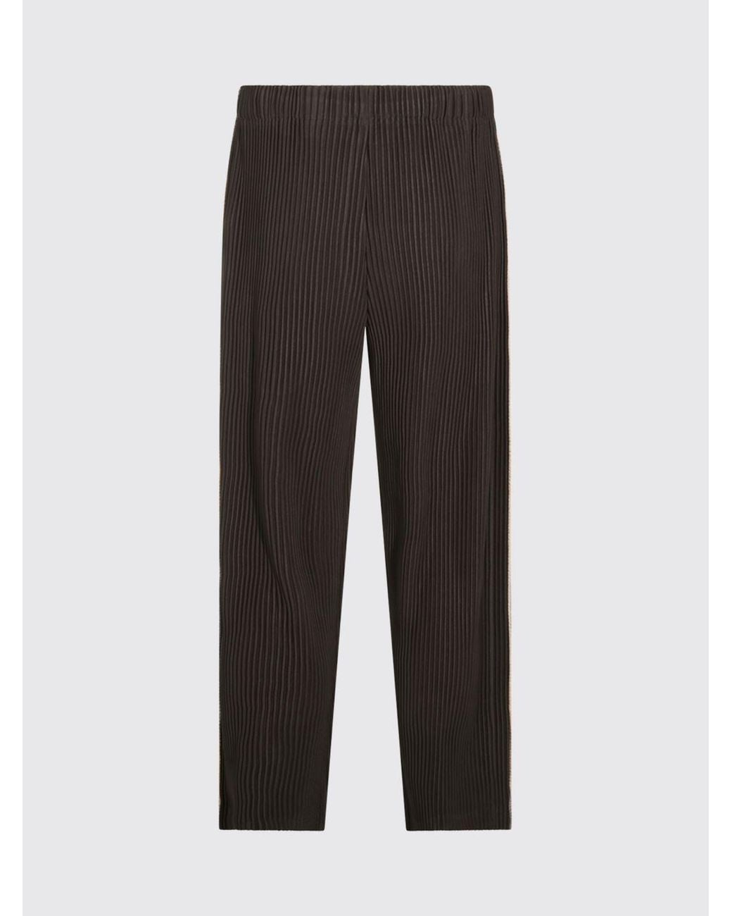 Homme Plissé Issey Miyake Brown Homme Plissé Issey Miyake Slim Fit Pleated Technical Fabric Trousers for men