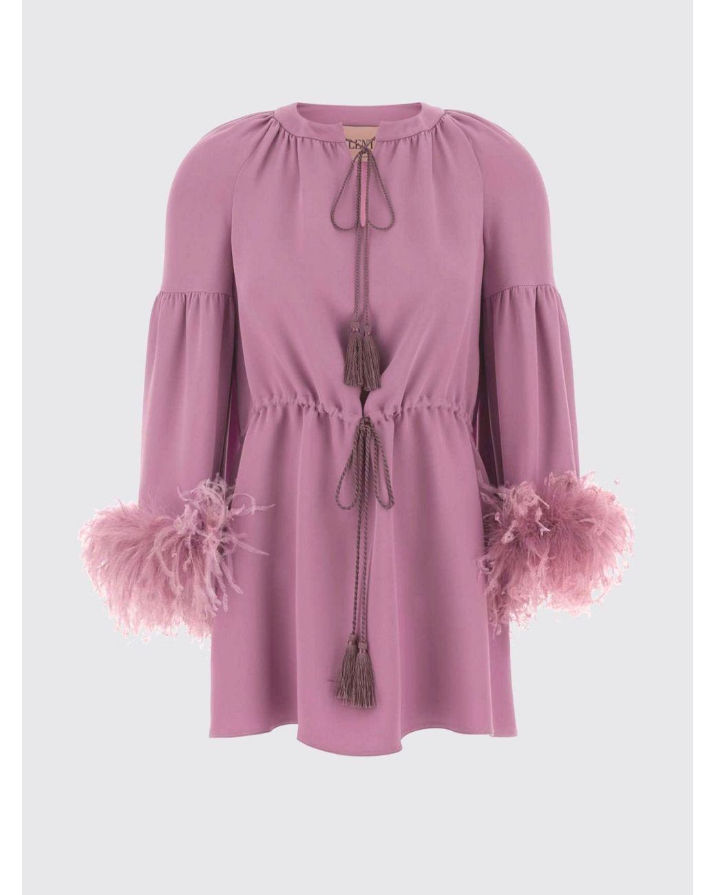 Valentino Pink Silk Blouse With Feathers