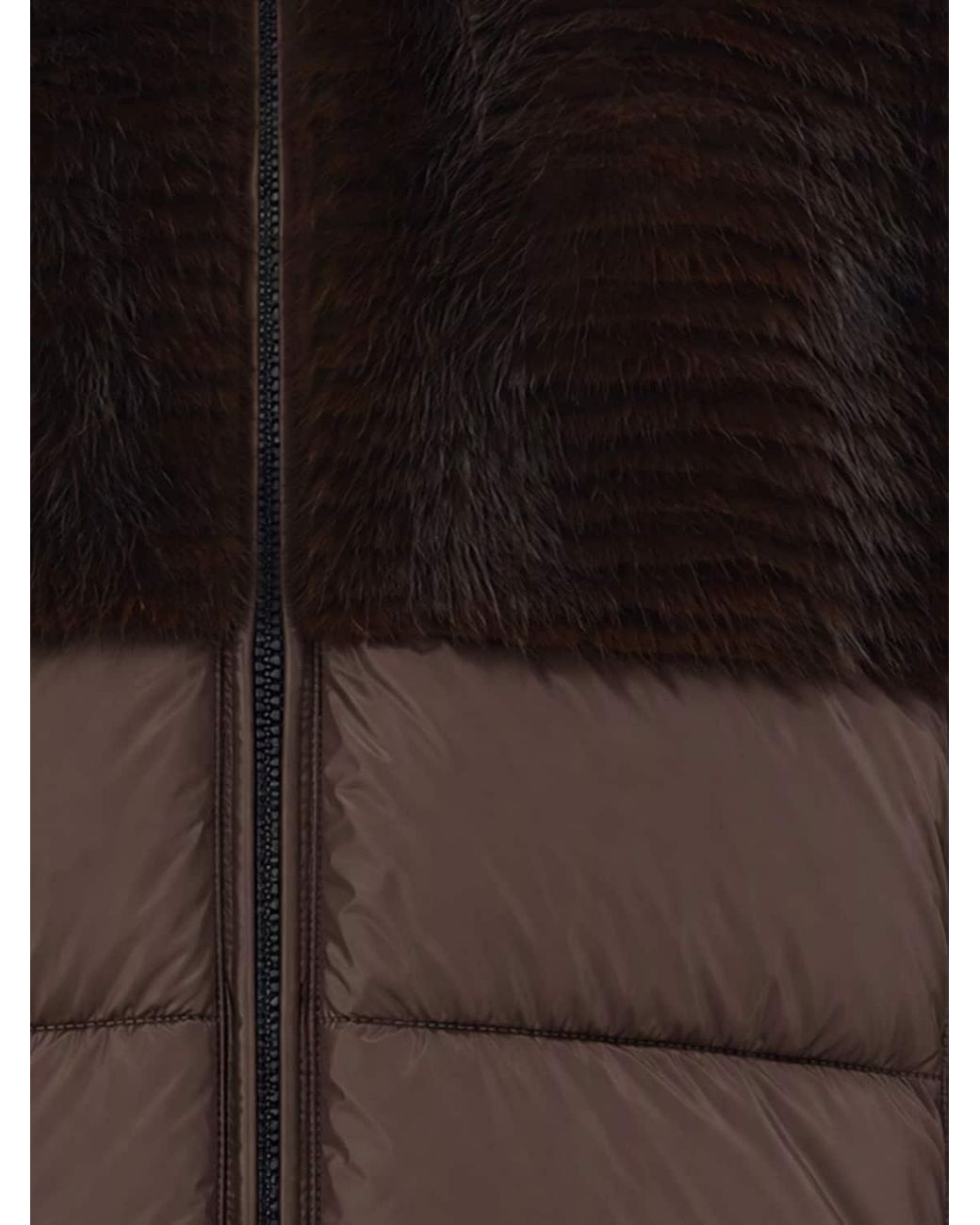 Blauer Brown Jacket