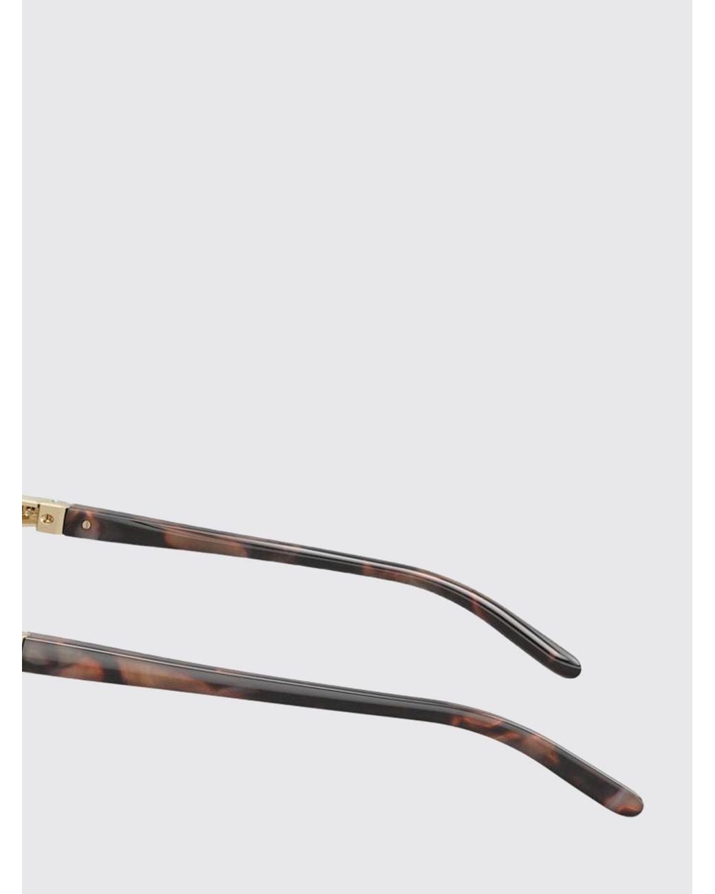 Emporio Armani Brown Butterfly Sunglasses