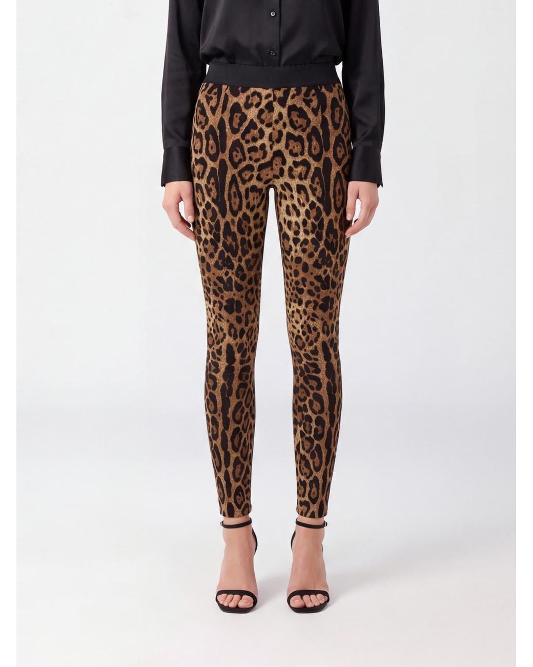 Dolce & Gabbana Black Dolce &Amp Gabbana High-Waisted Animalier Print Skinny Pants