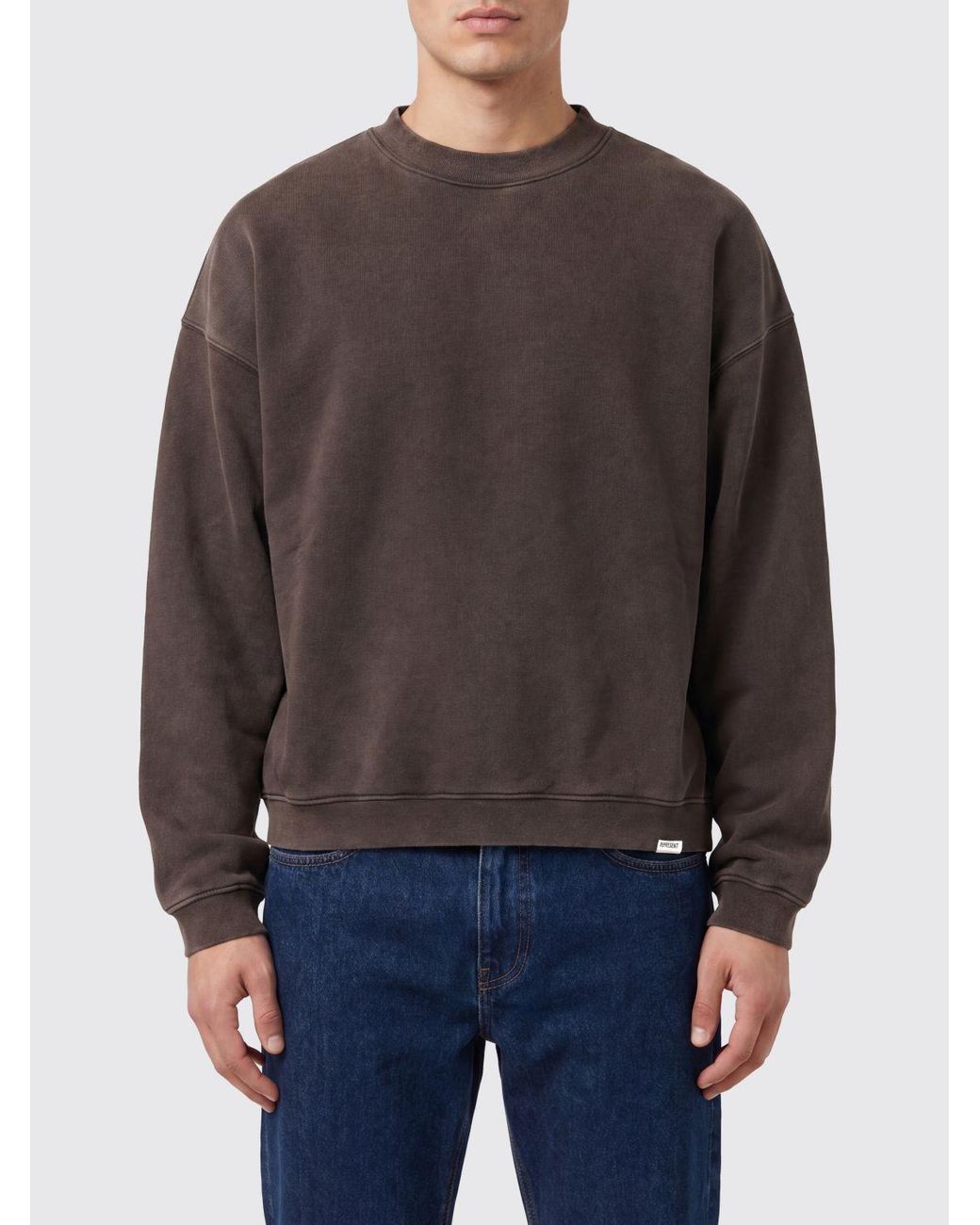 Represent Gray Crewneck Sweatshirt for men