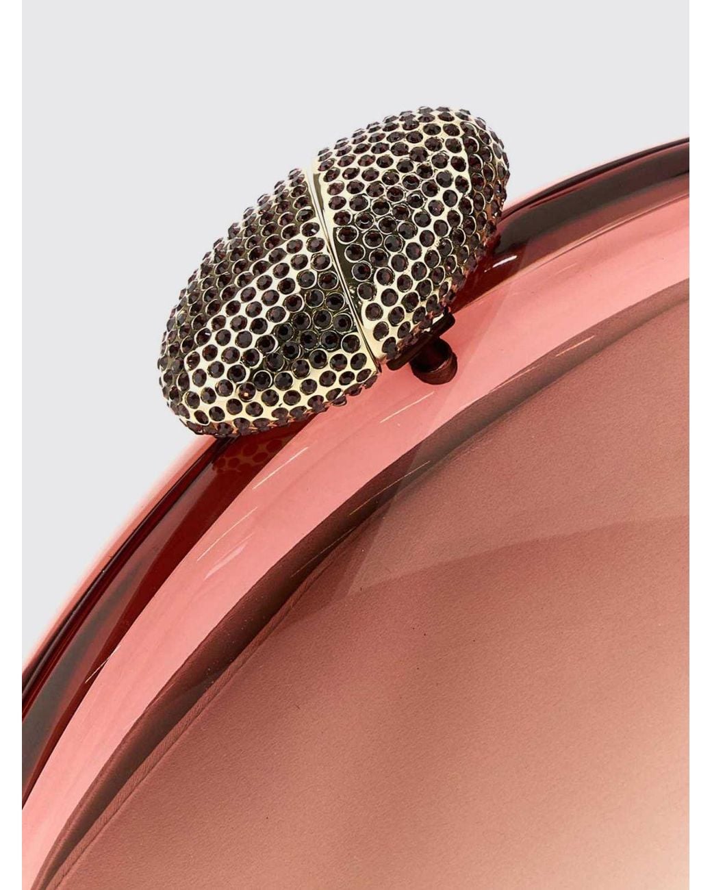 Benedetta Bruzziches Brown Ariel Methacrylate Asymmetrical Clutch