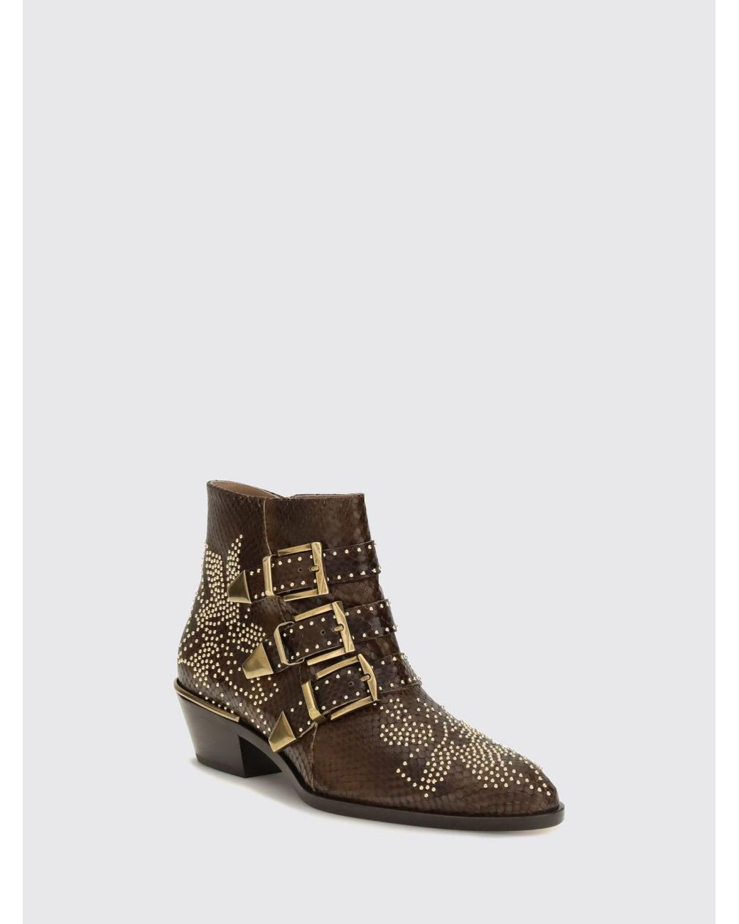 Chloé Brown ChloÉ Susanna Biker Ankle Boots