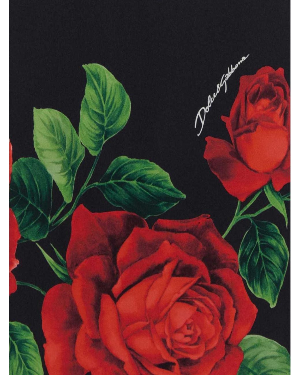 Dolce & Gabbana Red Dolce &Amp Gabbana Floral-Print Satin Bustier Midi Dress