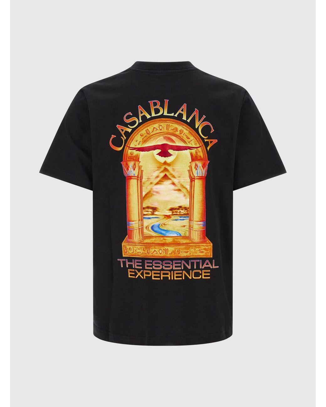 Casablanca Blue Graphic Print Organic Cotton Crew-Neck T-Shirt for men