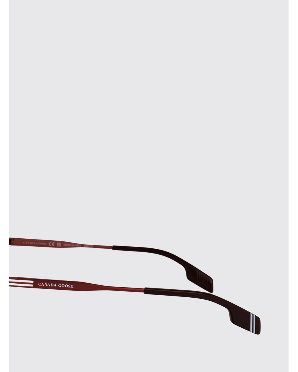 Canada Goose Red Sunglasses for men
