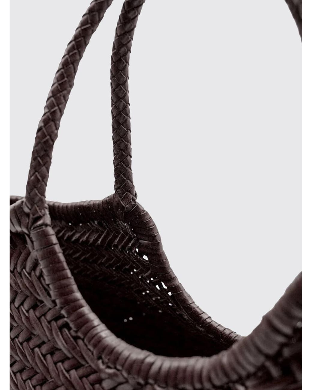Dragon Diffusion Brown Handbag