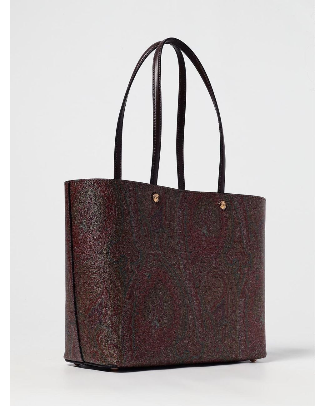 Etro Brown Essential Paisley Arnica Coated Cotton Bag