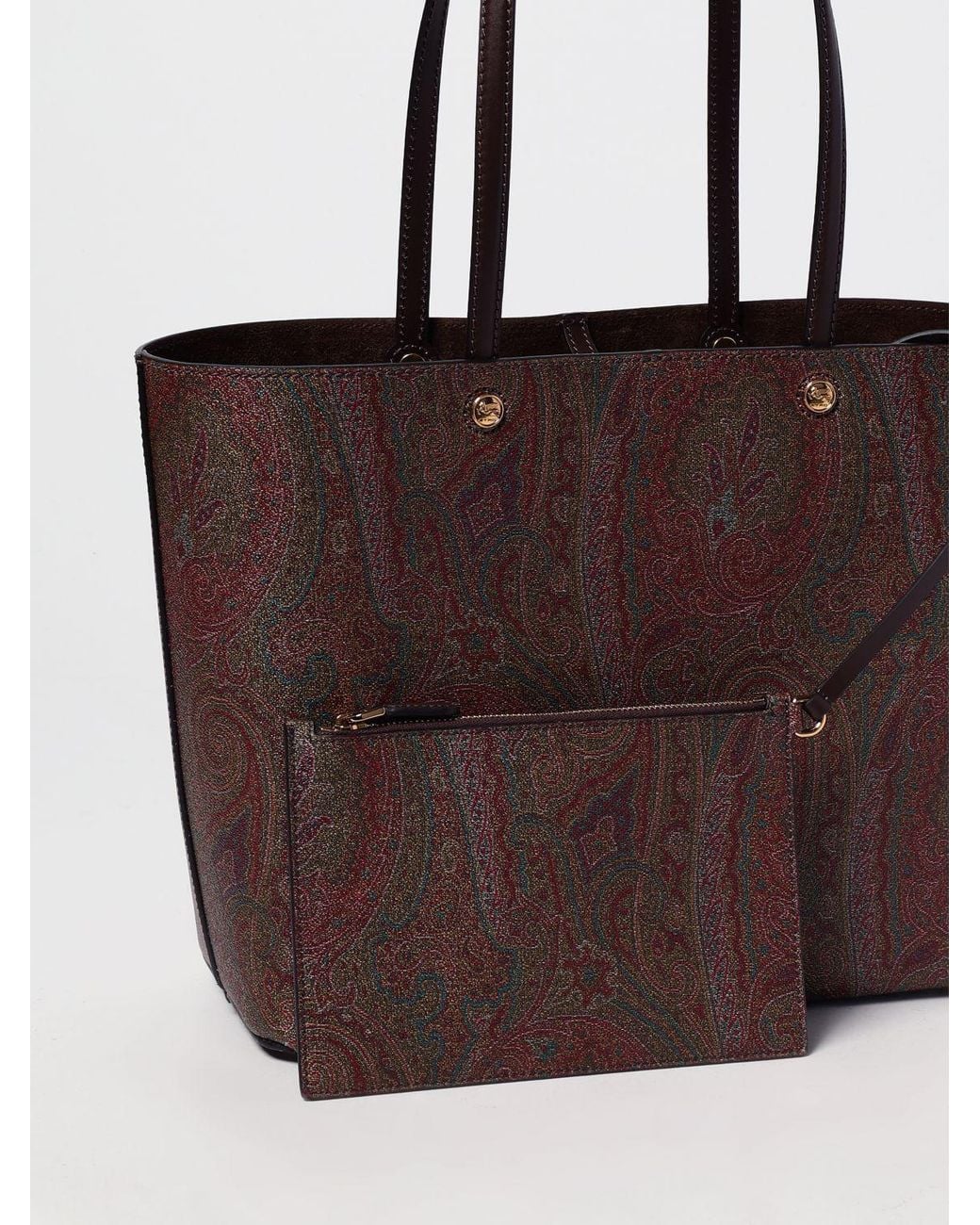 Etro Brown Essential Paisley Arnica Coated Cotton Bag