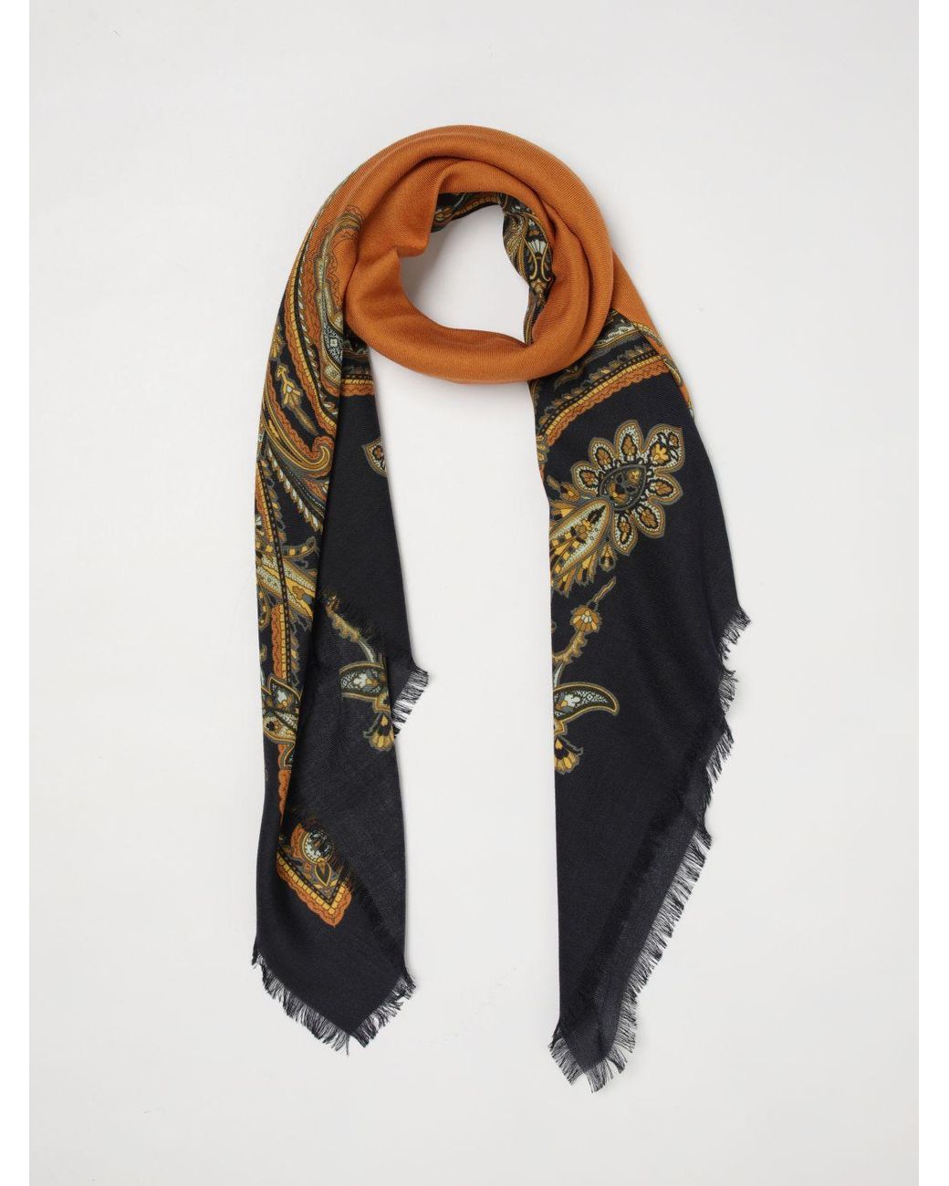 Etro Blue Neck Scarf