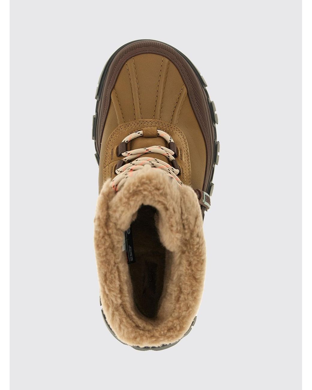 Ugg Brown Boots