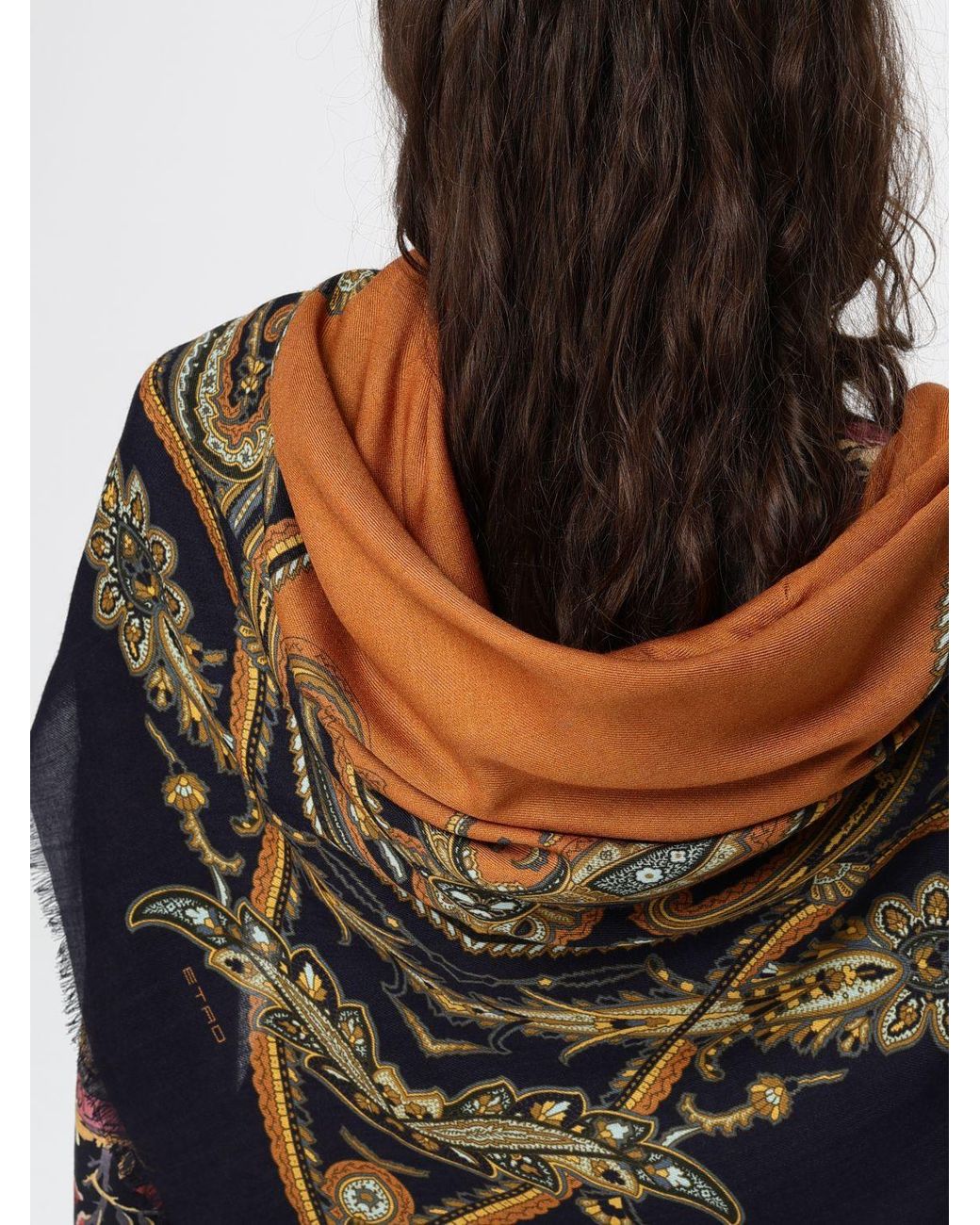 Etro Blue Neck Scarf