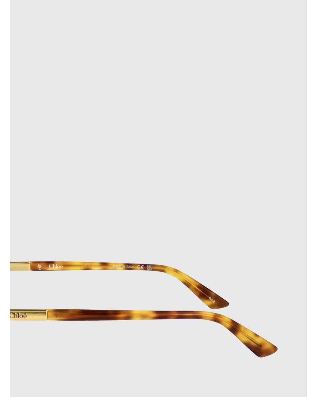 Chloé Multicolor ChloÉ Ch0363S Sunglasses
