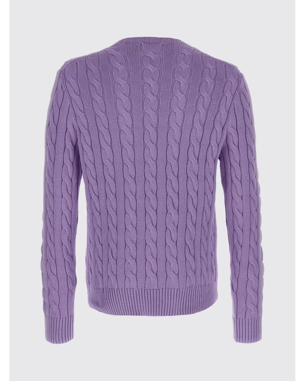 Polo Ralph Lauren Purple Cotton Tricot Crewneck Pullover for men