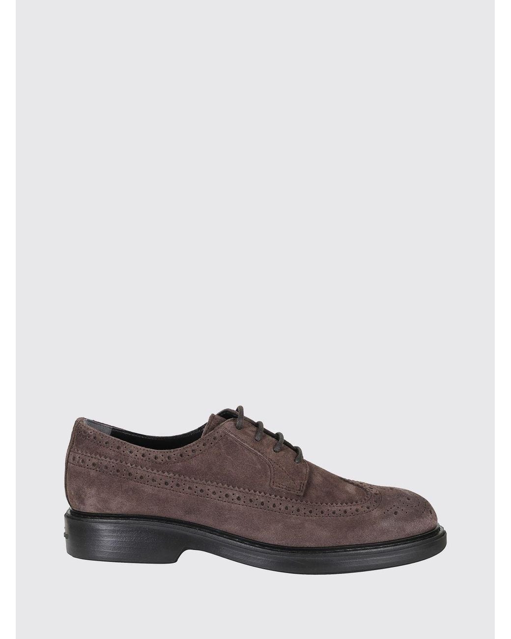 Hogan Brown H704 Suede Leather Derby Brogues With A Wingtip Motif for men