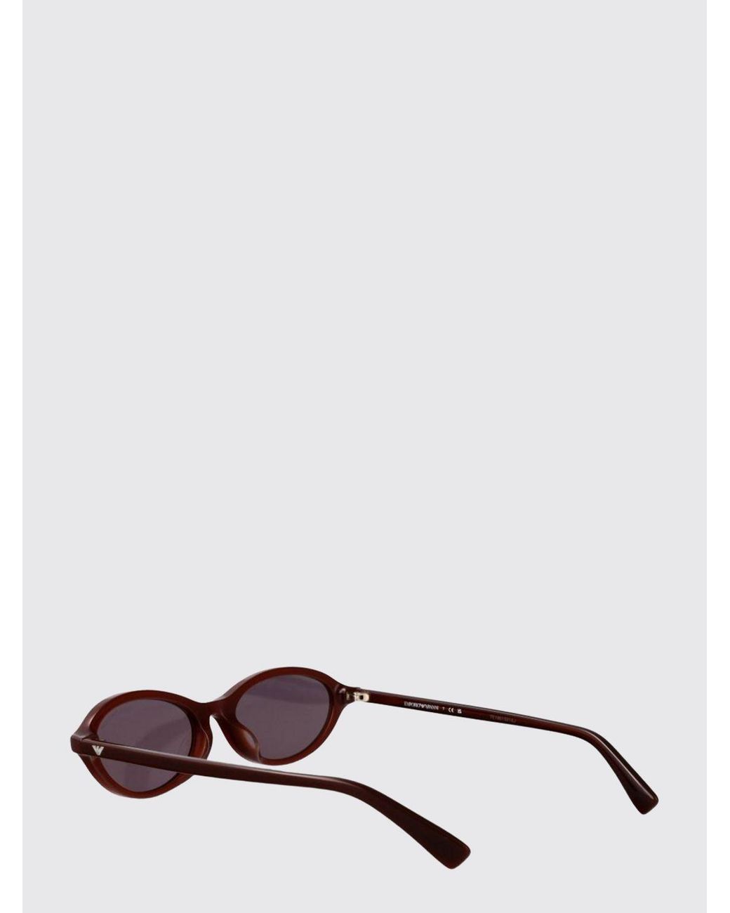 Emporio Armani Brown Two-Tone Acetate Cat-Eye Sunglasses