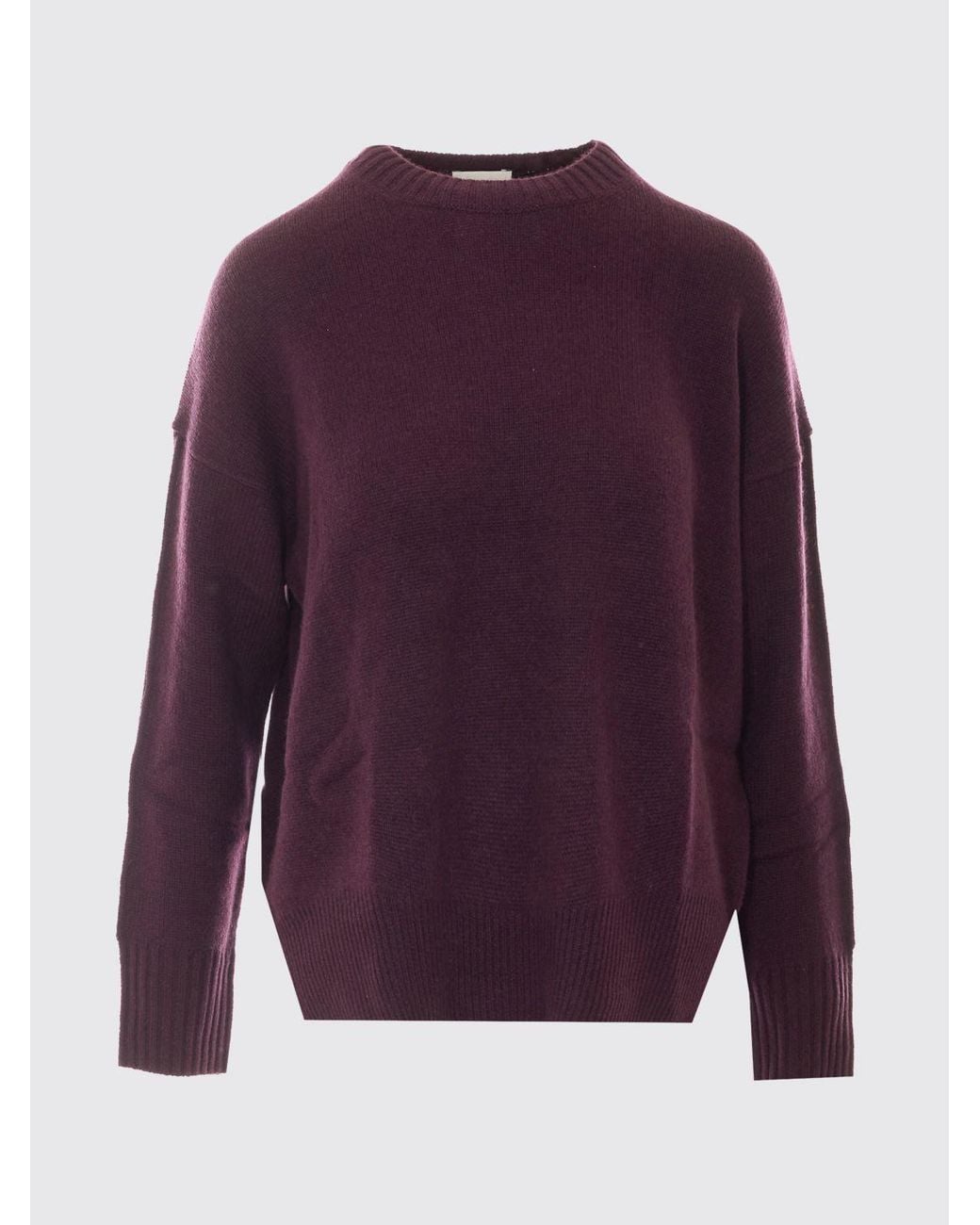 Allude Purple Sweatshirt