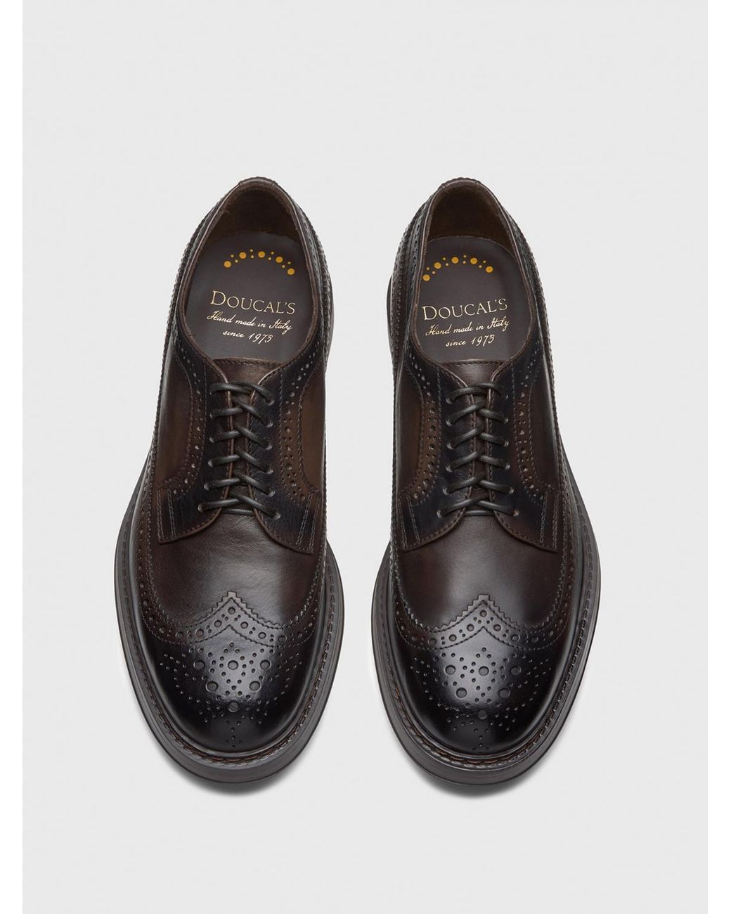 Doucal's Brown Brogue Shoes for men