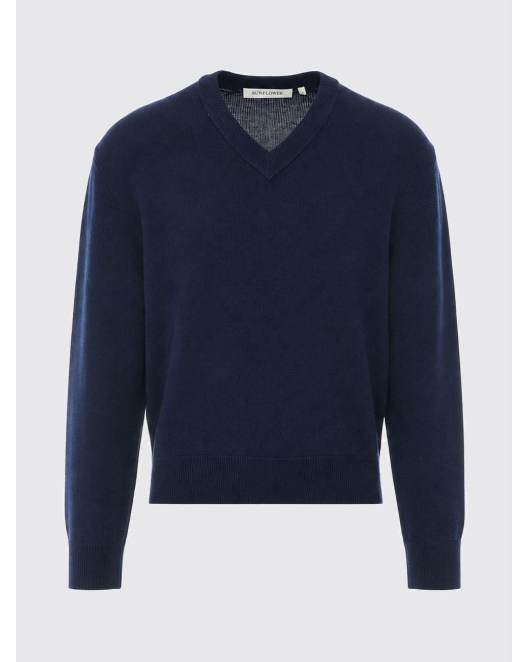 sunflower Blue Long-Sleeve V-Neck Jumper for men