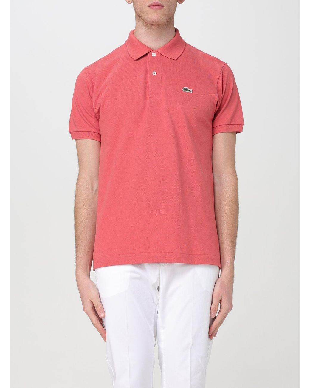 Lacoste coral cheap