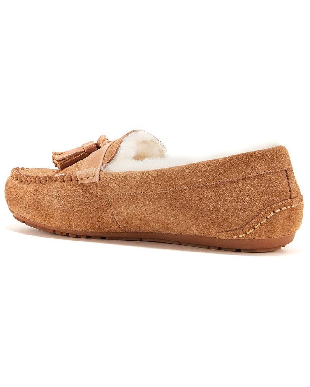 Australia Luxe Brown Hamilton Leather Slipper for men