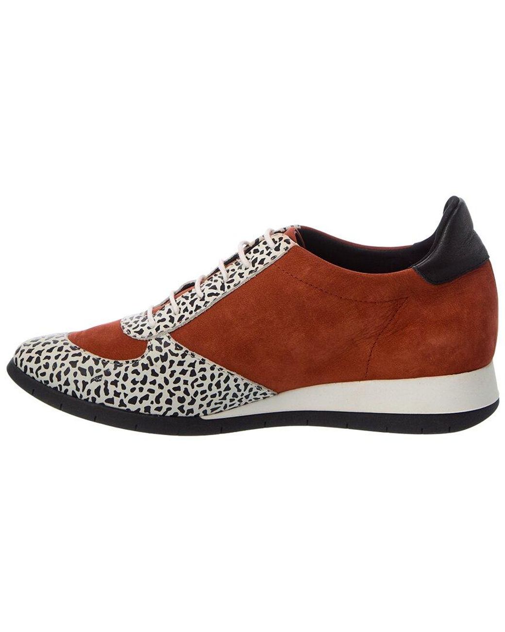 Arche Brown Sitriz Leather Sneaker