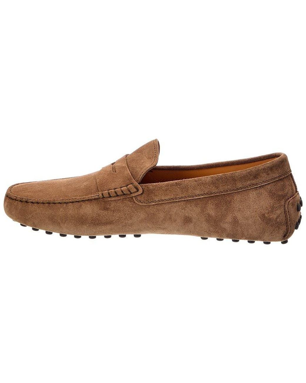 Tod's Brown Gommino Suede Loafer for men
