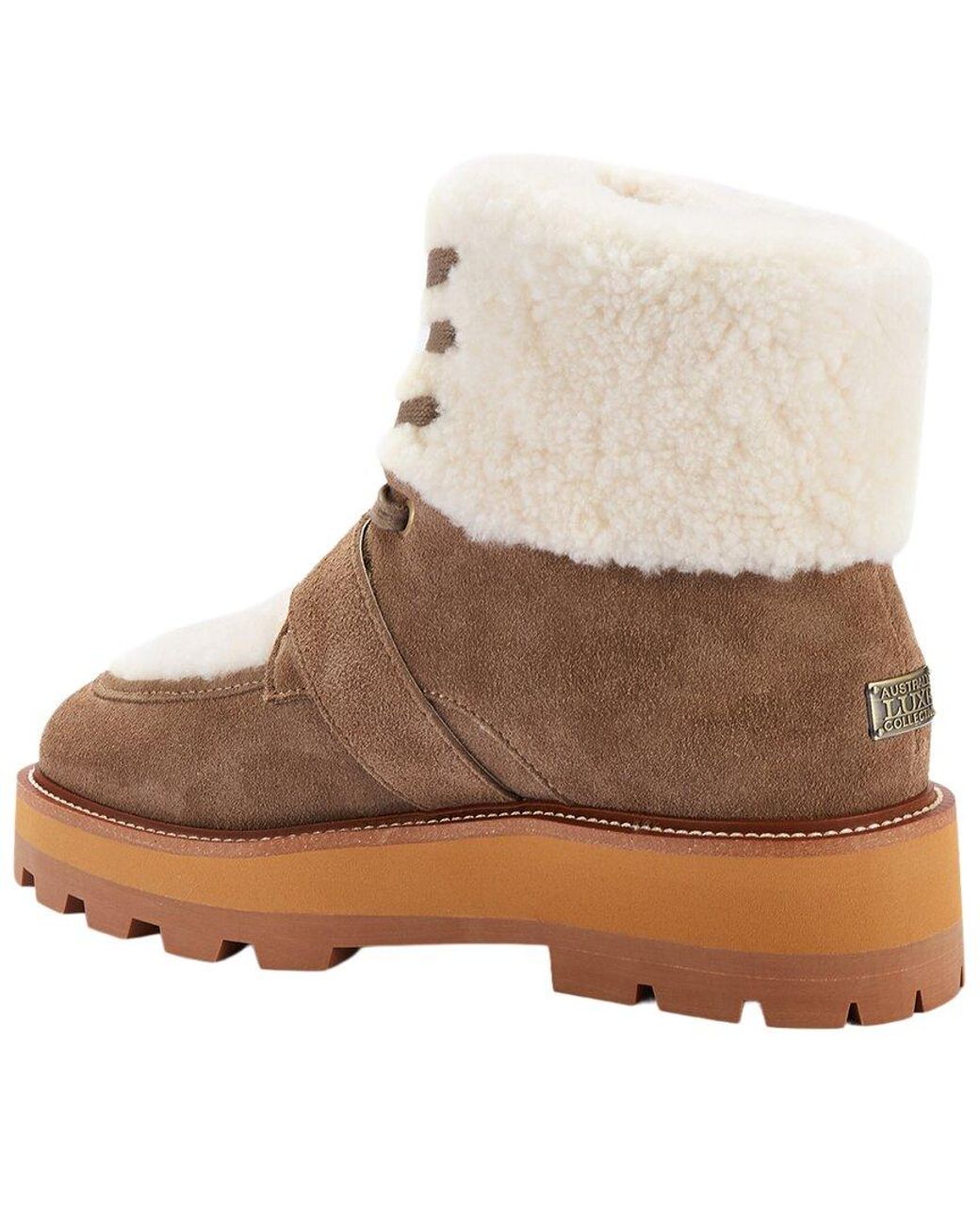 Australia Luxe Brown Todos Suede Boot