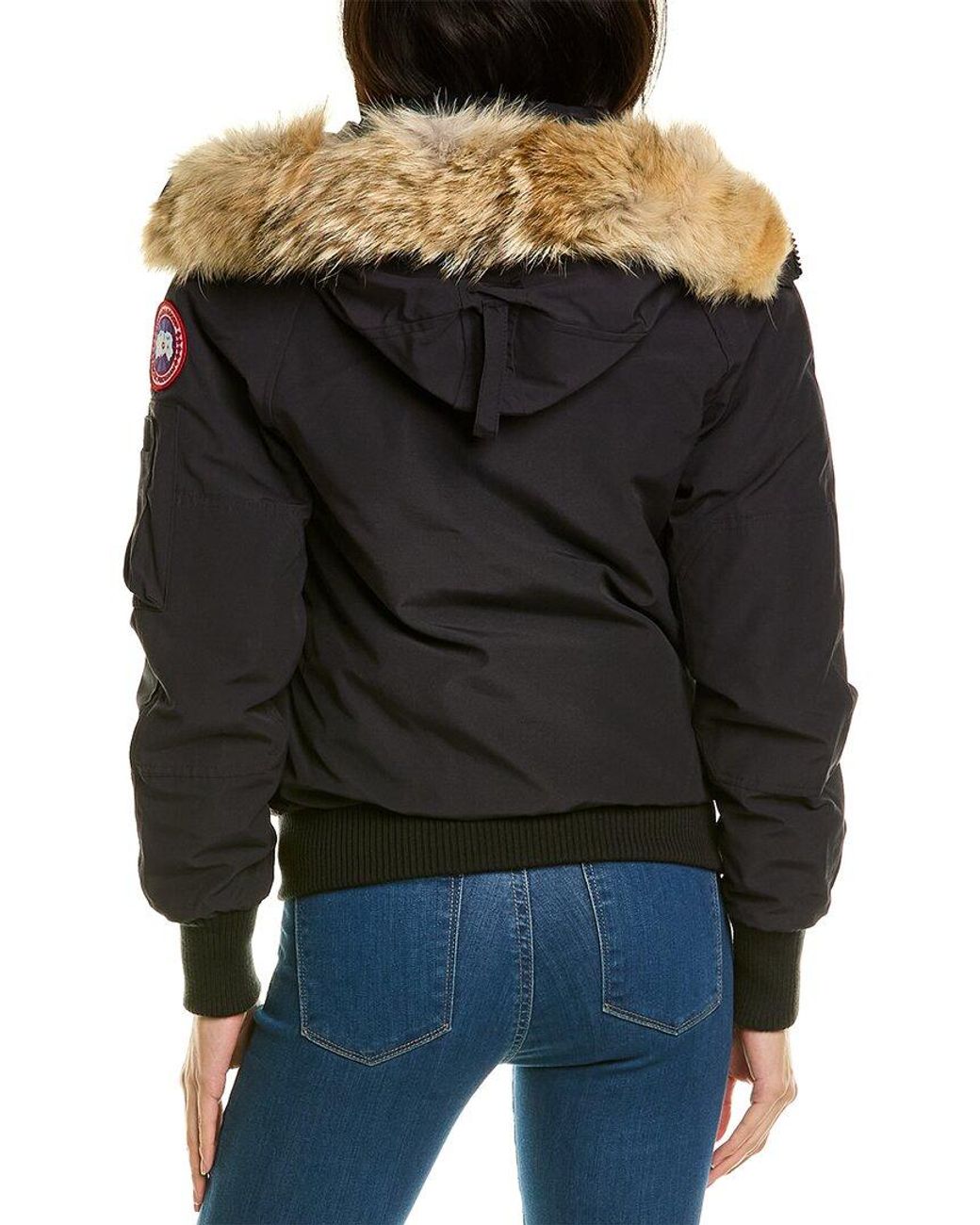 Canada goose chilliwack sales fur hood down bomber